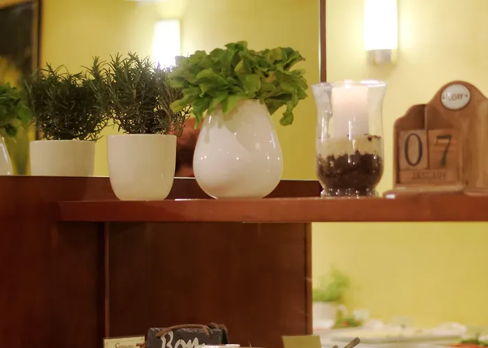 호텔 마이 시티