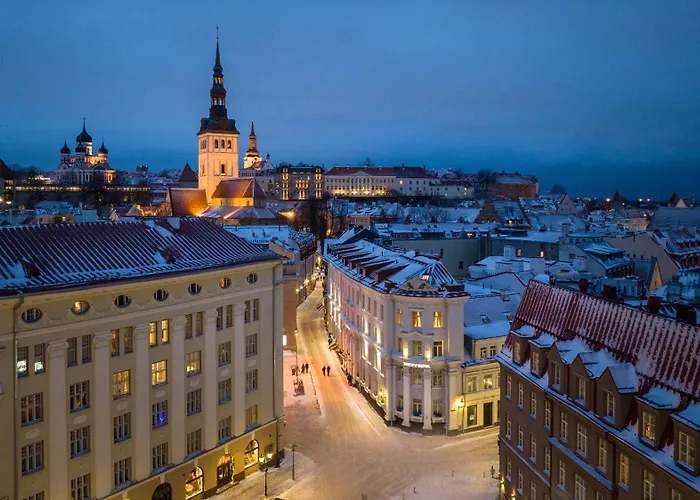 호텔 마이 시티